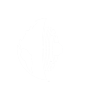 ThePlanItEarth